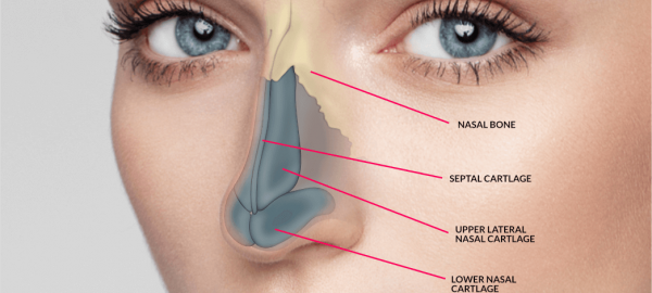 nose operation