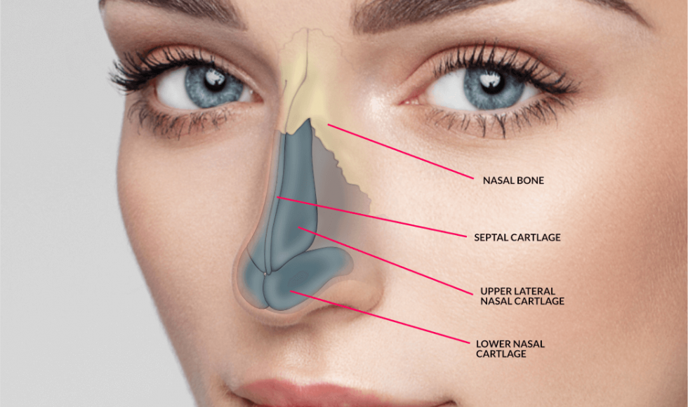 nose operation